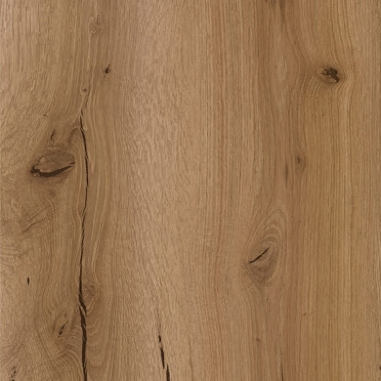 A 458 CHARLESTON TÖLGY