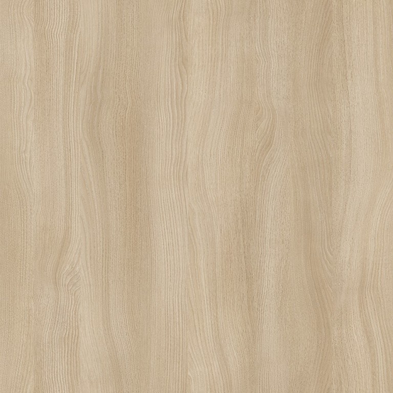 A667 MONTELLO GESZTENYE