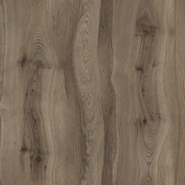 A674 MAJESTIC TÖLGY