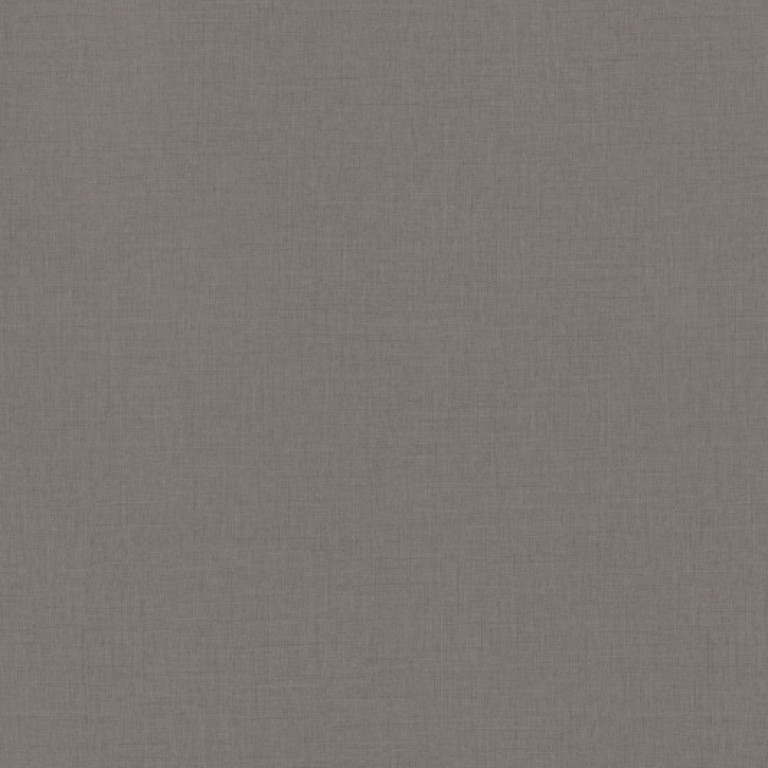 F433 st10 Antracit len