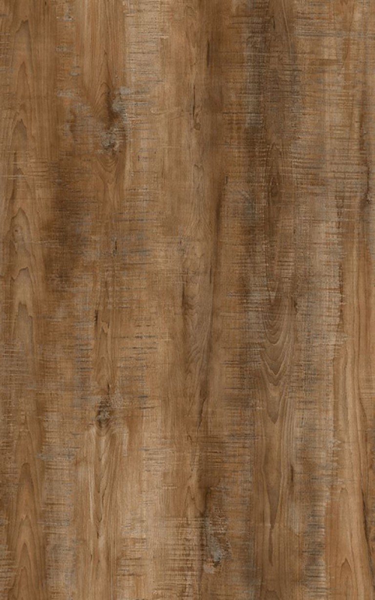 A593 YELLOWSTONE TÖLGY