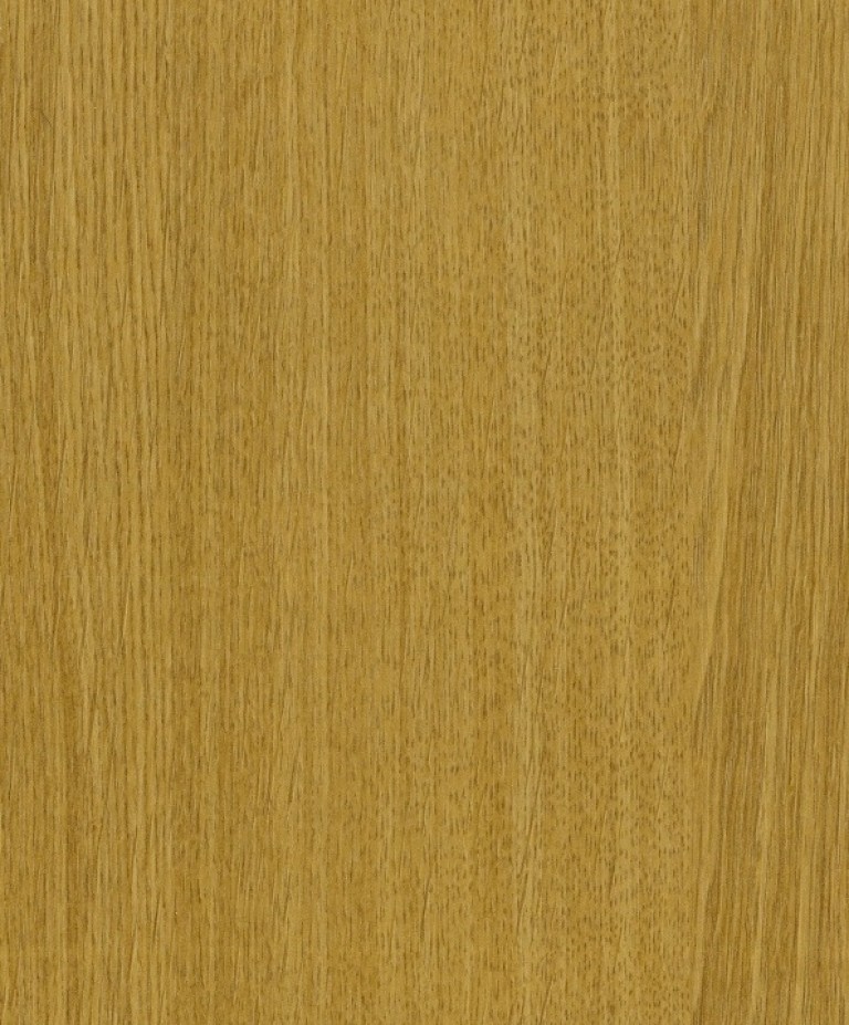 A821 CHAMPAGNE TÖLGY