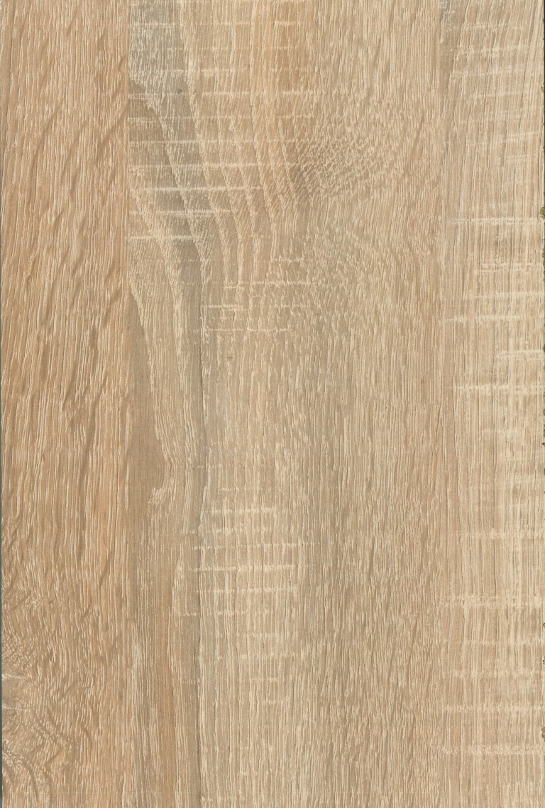 A842 VILÁGOS SONOMA TÖLGY