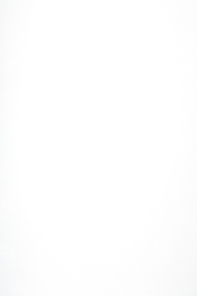 D129 ps17 FEHÉR EREZETT